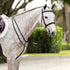 LeMieux Hunter Standing Martingale